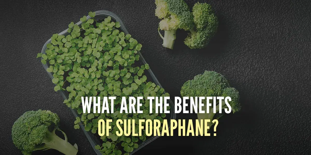 glutathione and sulforaphane DL-Sulforaphane (SFN-glutathione, SFN-GSH, Sulforaphane-GSH, CAS Number: 289711-21-3) 50MG Activated Sulforaphane Complex Capsules