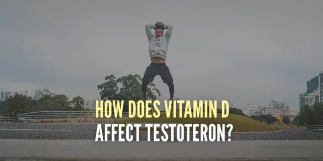 Does Vitamin D Increase Testosterone? Does Vitamin D Increase Testosterone?