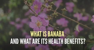 banaba