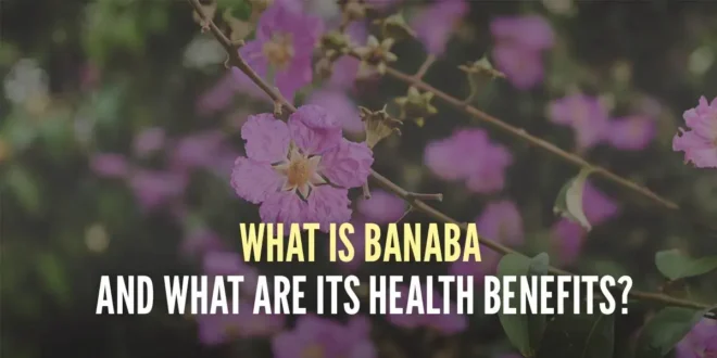 What is Banaba and What Are Its Health Benefits?