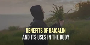 baicalin