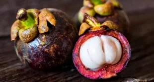 All the benefits of Mangosteen for health