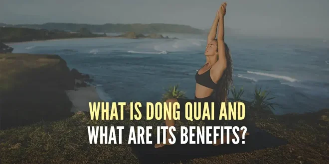 What Is Dong Quai and What Are Its Benefits?