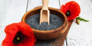 en-poppy-seeds