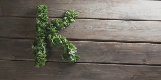 Foods Highest in Vitamin K