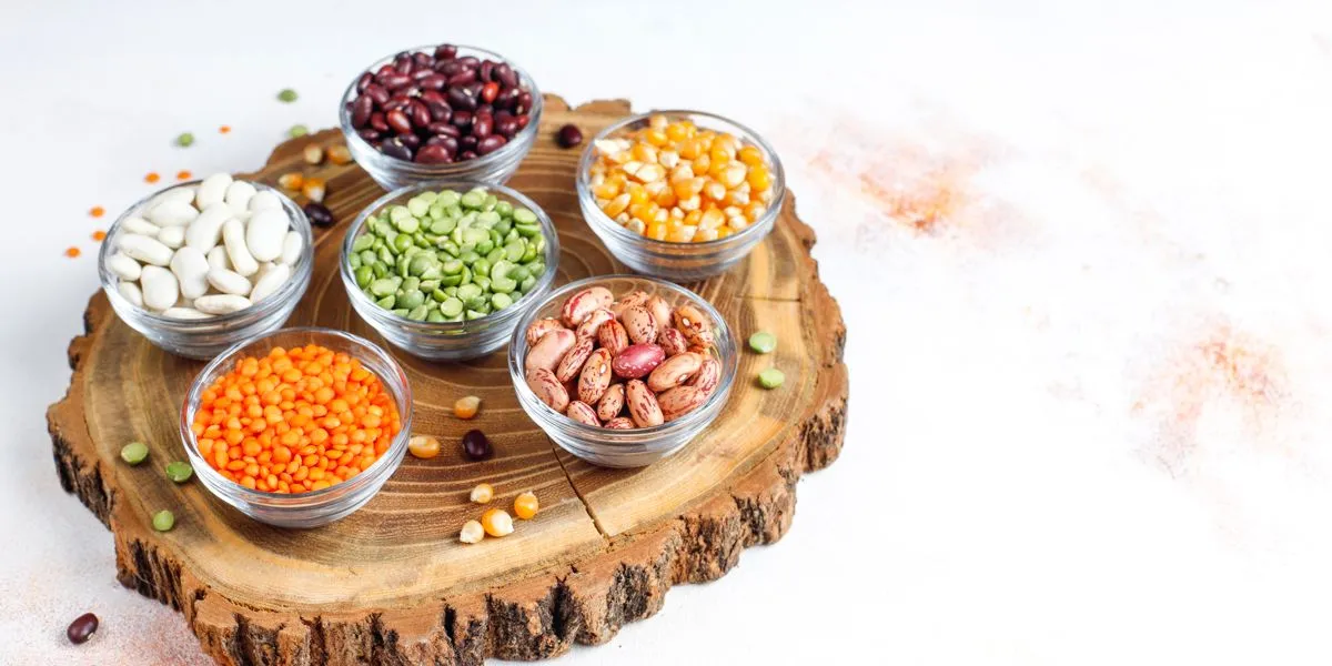 Examples of plant-based proteins