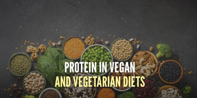 Proteins in Vegan and Vegetarian Diets