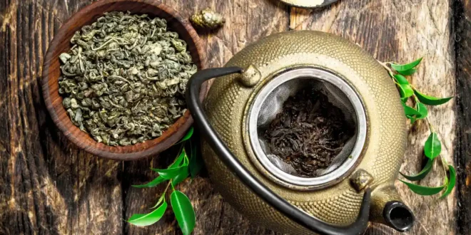 Effects of green tea catechins on health
