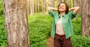 Benefits of Schisandra for health and how to take it