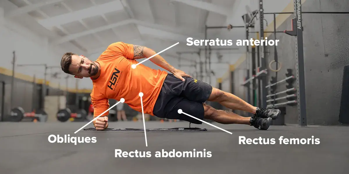 Muscles worked in side planks