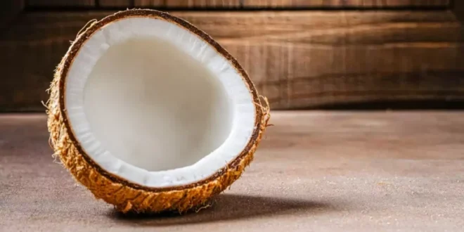 Coconut: properties, benefits and nutritional value of a natural superfood Coconut: properties, benefits and nutritional value of a natural superfood