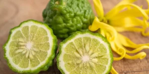 Bergamot: What it is, benefits, and why choose a standardized extract