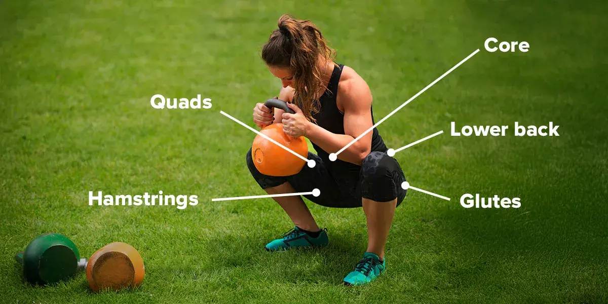 Muscles involved in the weighted squat