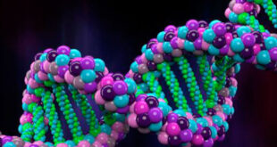 Anabolic pathways: protein biosynthesis