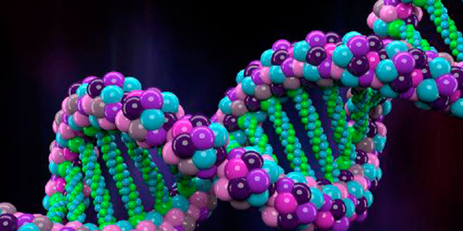 Anabolic pathways: protein biosynthesis
