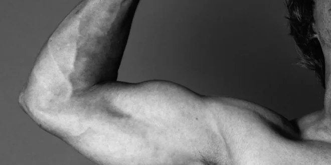 The best quotes from Arnold Schwarzenegger The best quotes from Arnold Schwarzenegger