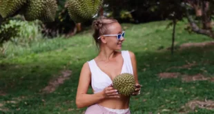 Graviola: the tropical treasure for your well-being