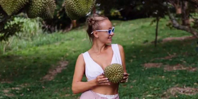 Graviola: the tropical treasure for your well-being Graviola: the tropical treasure for your well-being