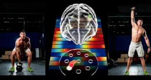 How is a movement stored in our memory?