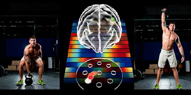How is a movement stored in our memory?