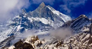 What is Shilajit and why is it considered an ancient superfood