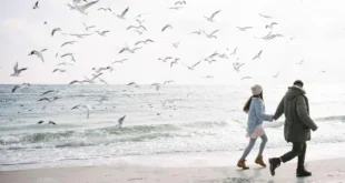 What do you know about the 9 amazing benefits of krill oil?