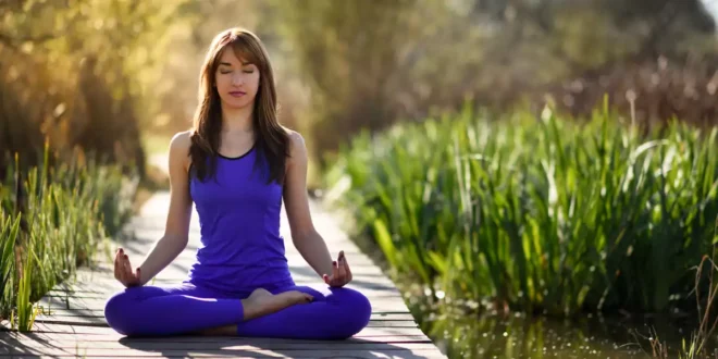 Ashwagandha to reduce stress and improve well-being