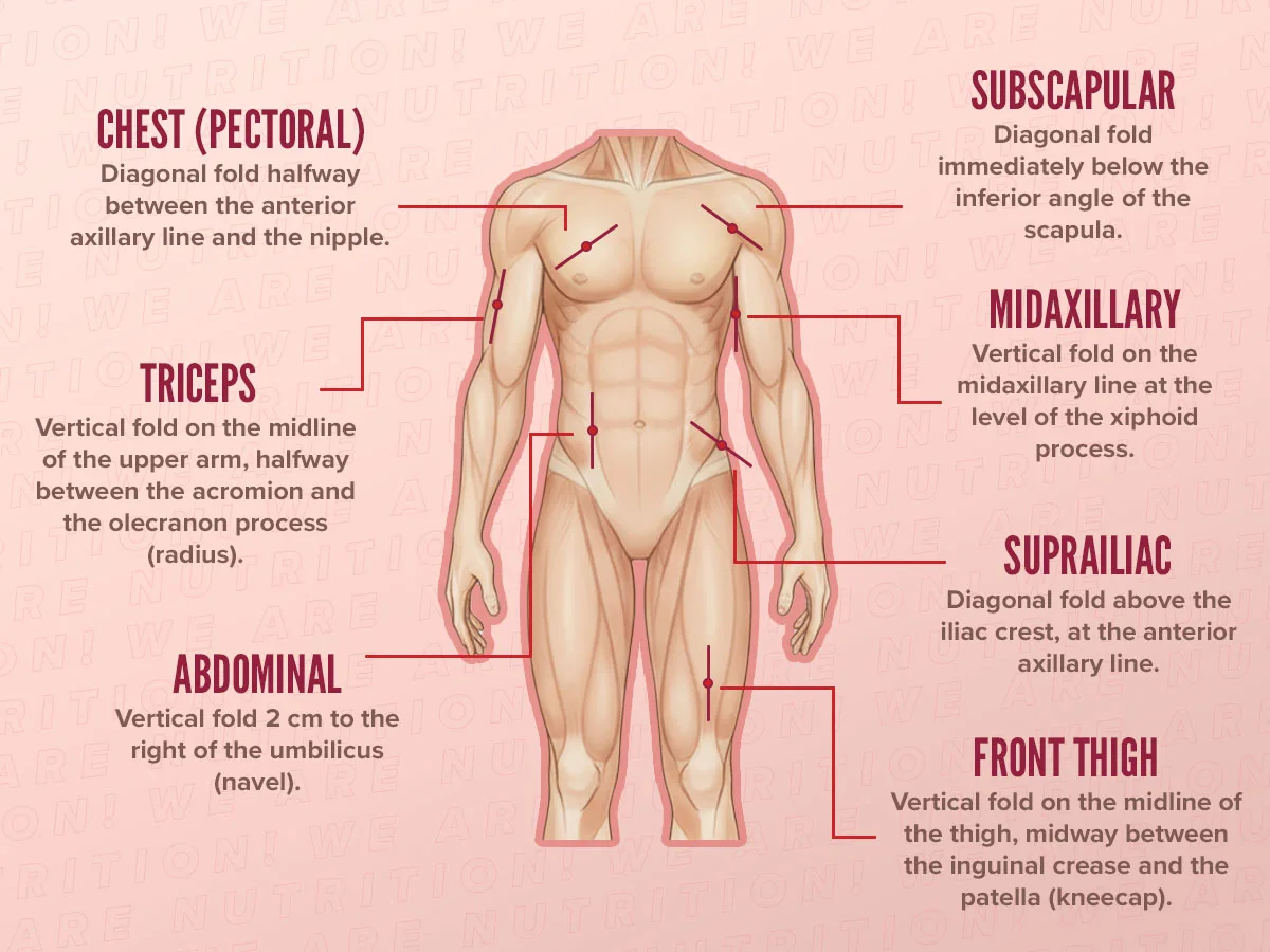 skinfolds