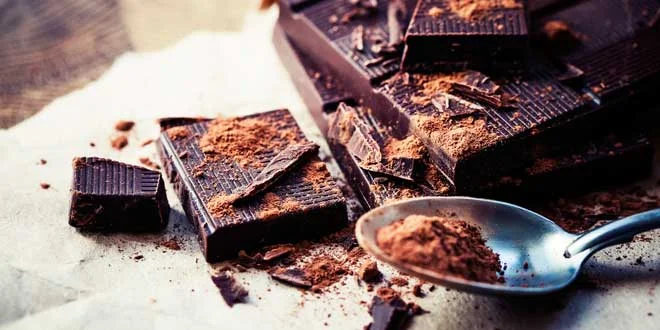Dark Chocolate for Memory?