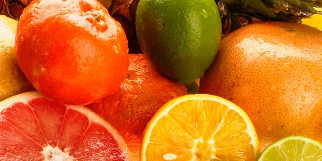 Sinetrol Benefits and Properties for Losing Fat Sinetrol Benefits and Properties for Losing Fat