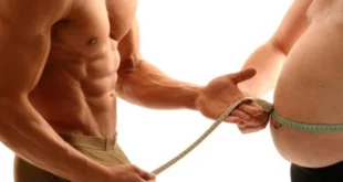 Muscle vs Fat