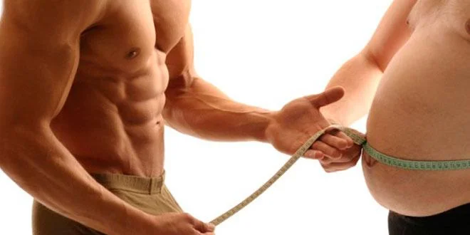 Muscle vs Fat Muscle vs Fat