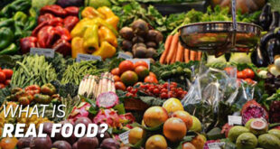 Benefits of Real Food