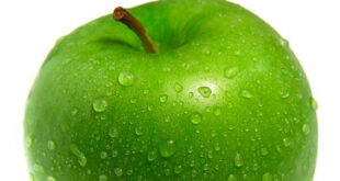What is Ursolic Acid?