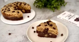 Chocolate Protein Brookie