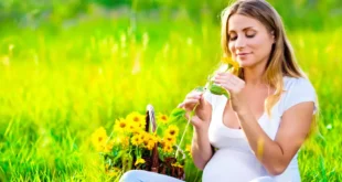 Evening Primrose Oil: Well-being During Your Fertile Years