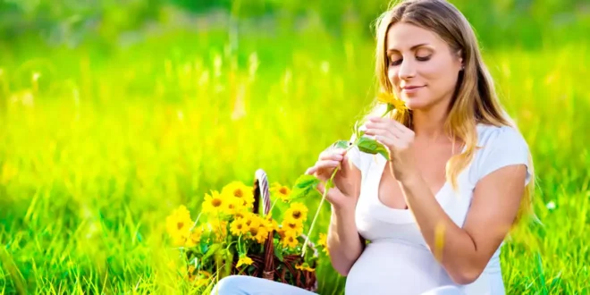 Evening Primrose Oil: Well-being During Your Fertile Years Evening Primrose Oil: Well-being During Your Fertile Years