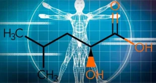HICA: Leucine Metabolite for Muscle Growth
