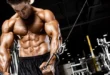 Myofibrillar oxygenation and muscle growth