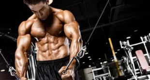 Myofibrillar oxygenation and muscle growth