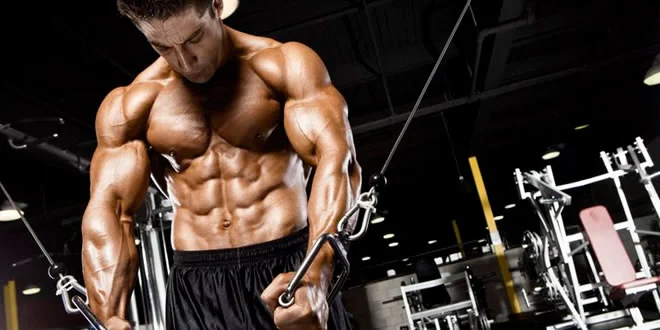 Myofibrillar oxygenation and muscle growth