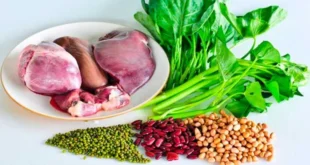 The 15 Foods Rich in Iron