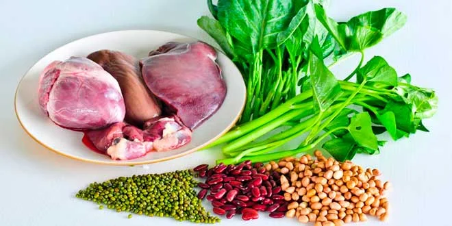 The 15 Foods Rich in Iron