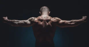 Natural Bodybuilding, full season example