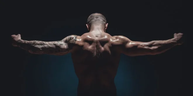 Natural Bodybuilding, full season example