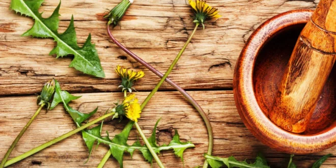 8 remedies with dandelion, give them a try!