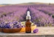 Essential Oils in Sport and Health