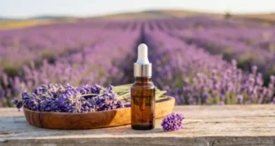 Essential Oils in Sport and Health
