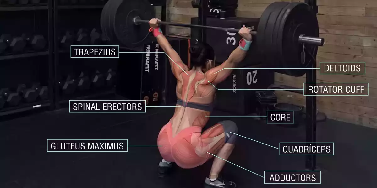 What Muscles Does the Overhead Squat Work?