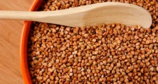 Buckwheat: What It Is, Health Benefits, Suitable for Celiacs